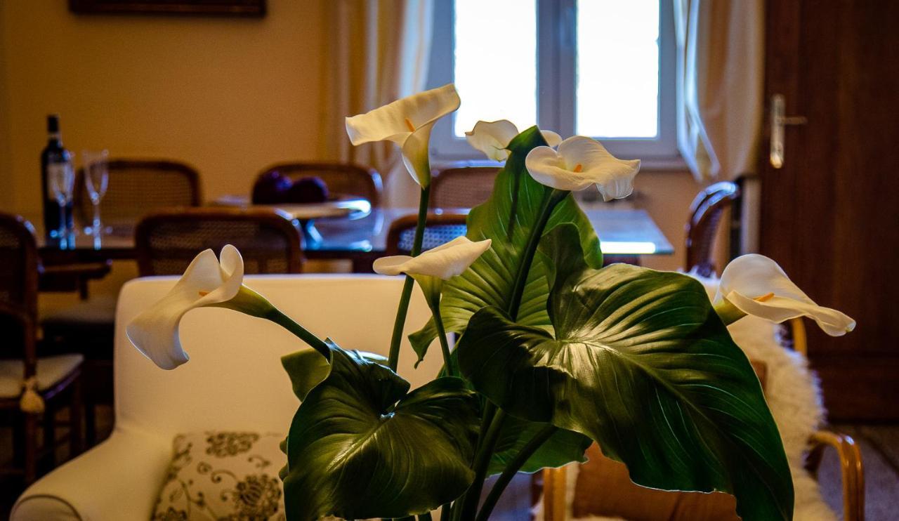 Il Palagetto B&B Φλωρεντία Εξωτερικό φωτογραφία